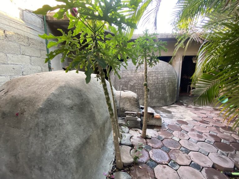 10375 temazcal y masajes faciales 768x576