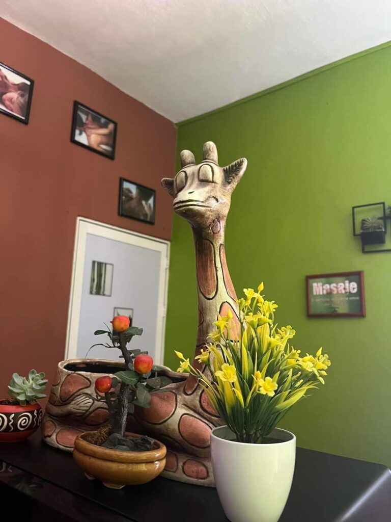 10380 centro de masajes alternativos de la salud 768x1024