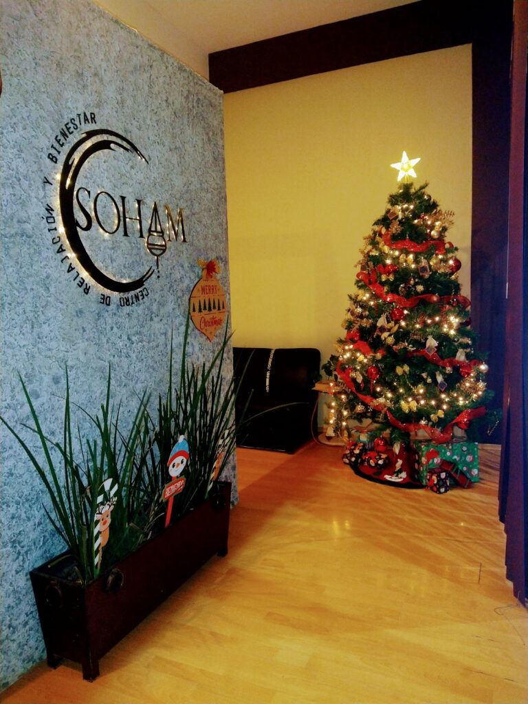 10450 soham spa 768x1024