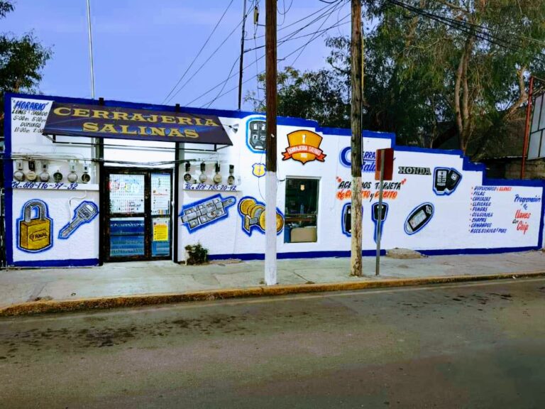 10860 cerrajeria salinas 768x576