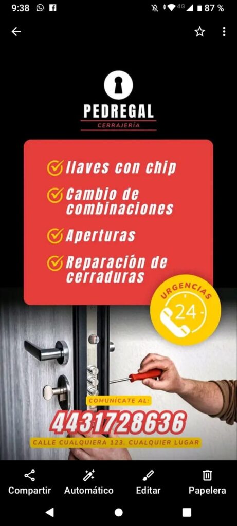 11066 cerrajeria pedregal 461x1024