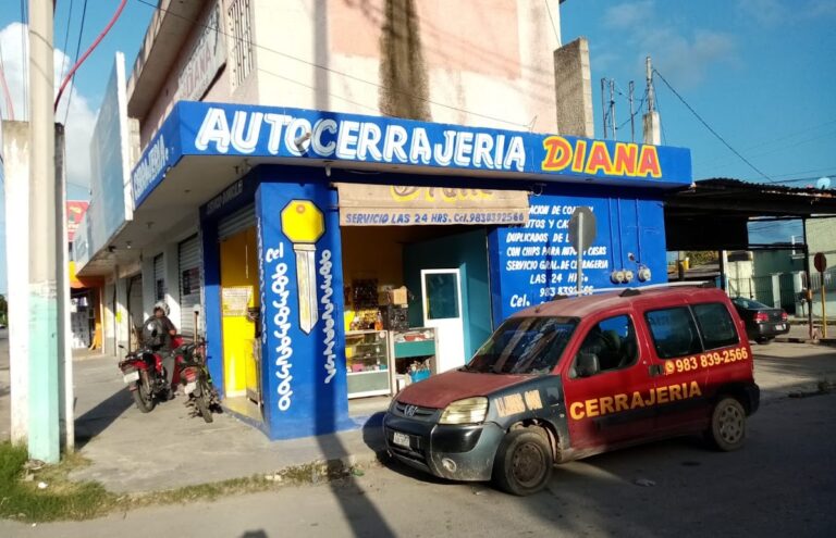 11240 cerrajeria diana 768x495