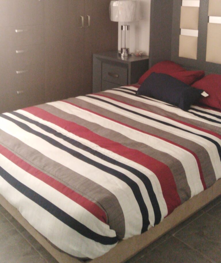 11661 fraccionamiento pintores 768x915