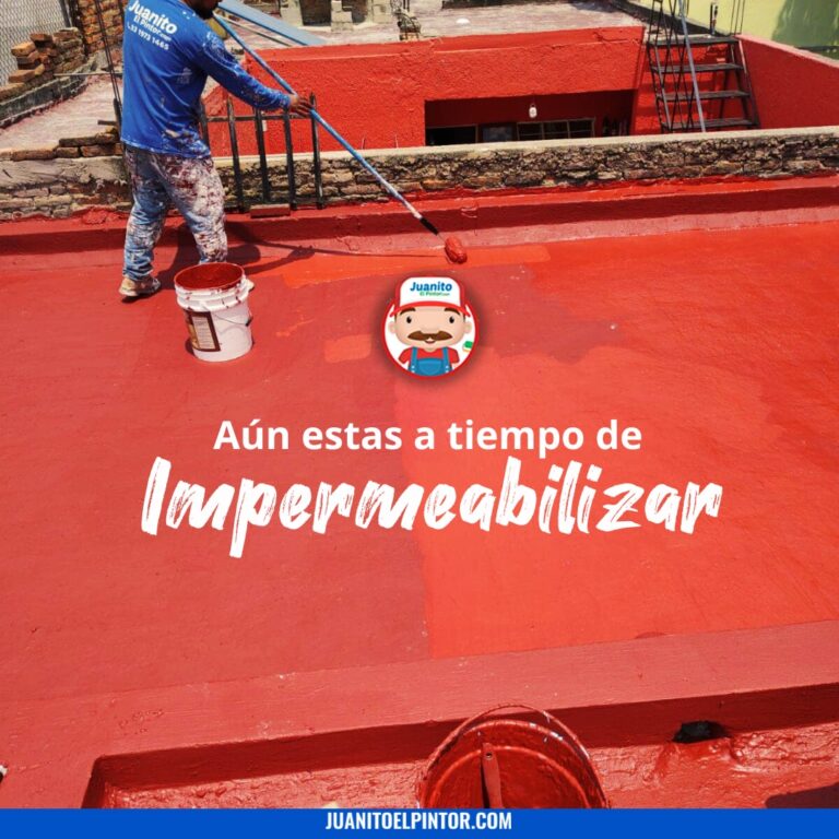 11747 juanito el pintor queretaro 768x768