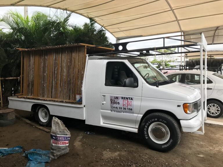 11997 andamios manzanillo 768x576