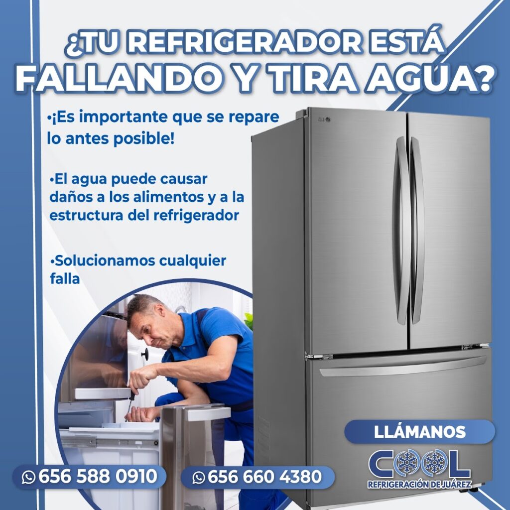 12392 cool refrigeracion de juarez 1024x1024