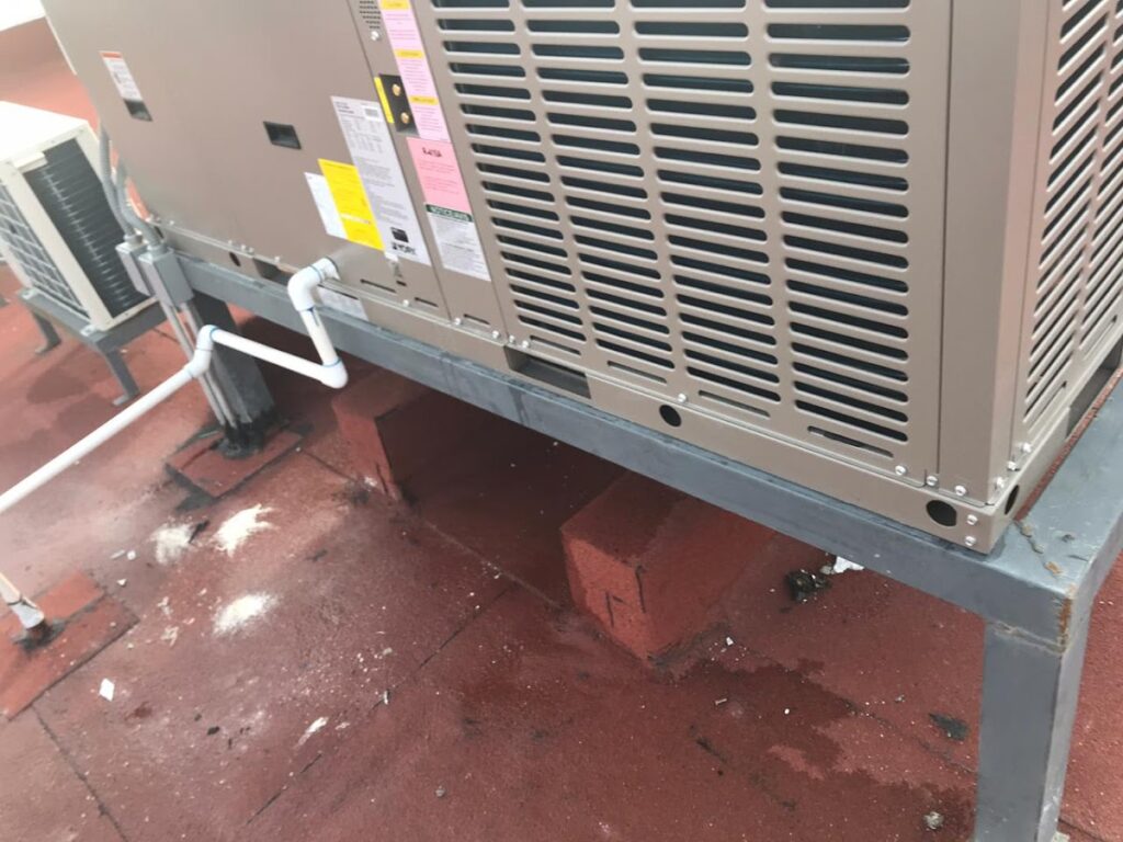 12418 refrigeracion y servicios roman 1024x768