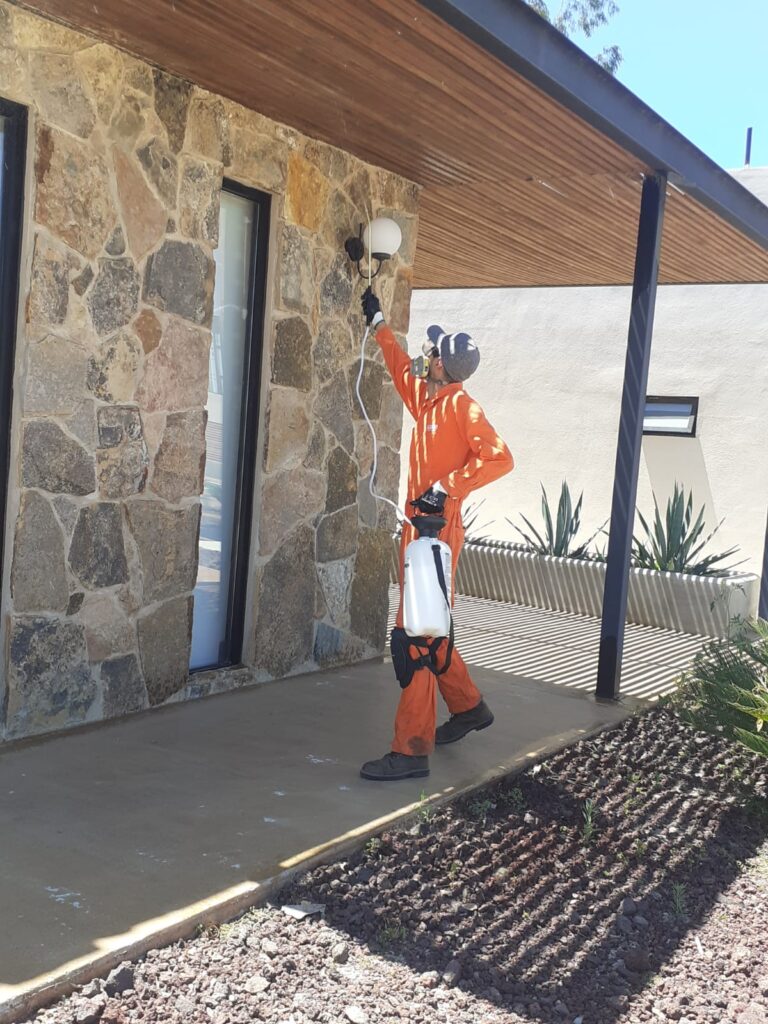 13825 agencia de limpieza azur 768x1024