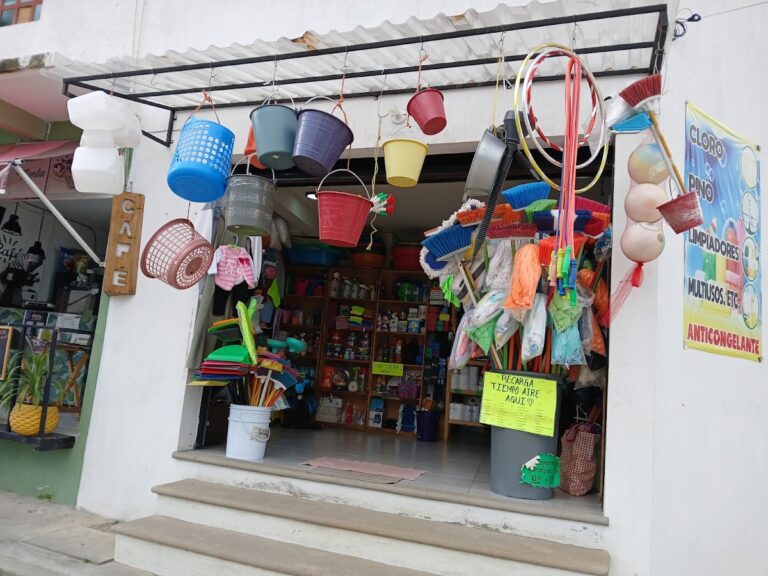 13896 productos de limpieza dluz 768x576