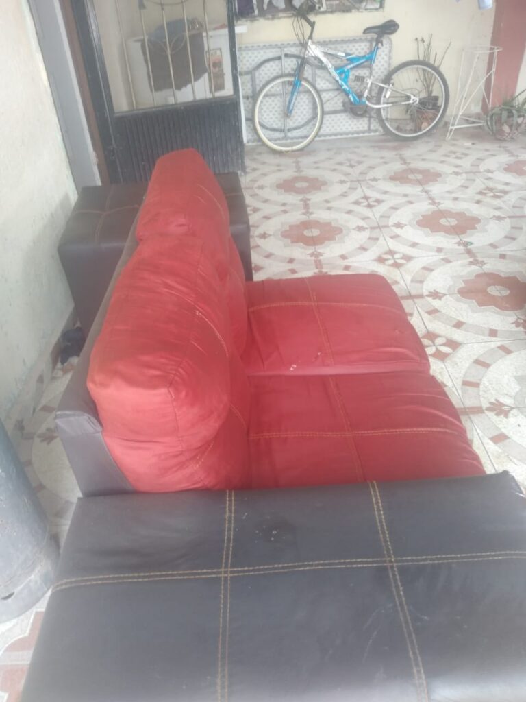 13930 servicios de limpieza laguna 768x1024