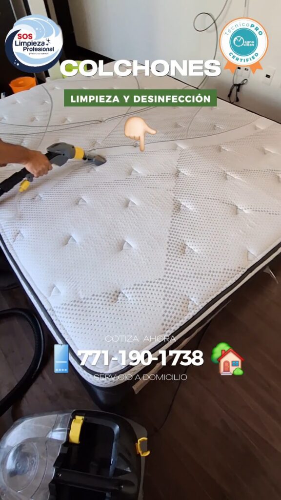 14052 sos limpieza profesional pachuca 576x1024