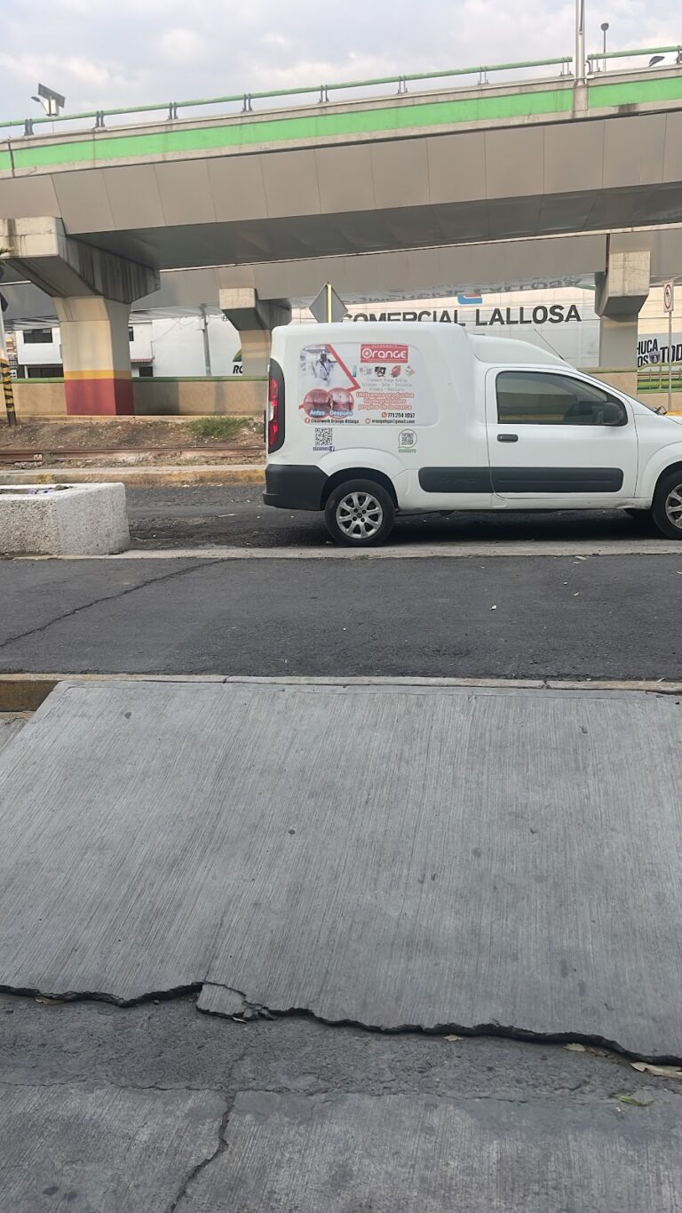 14056 cleanwork orange hidalgo 768x1365