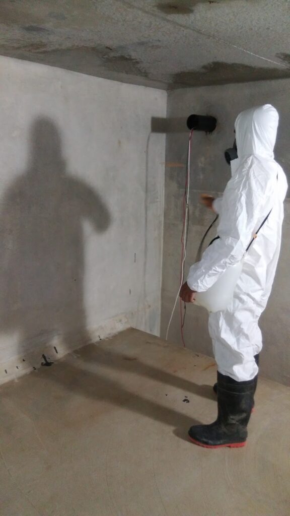 14082 limpieza de tinacos y cisternas servicios ecoclean 576x1024