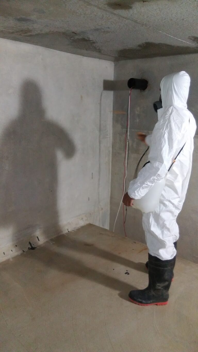 14082 limpieza de tinacos y cisternas servicios ecoclean 768x1365