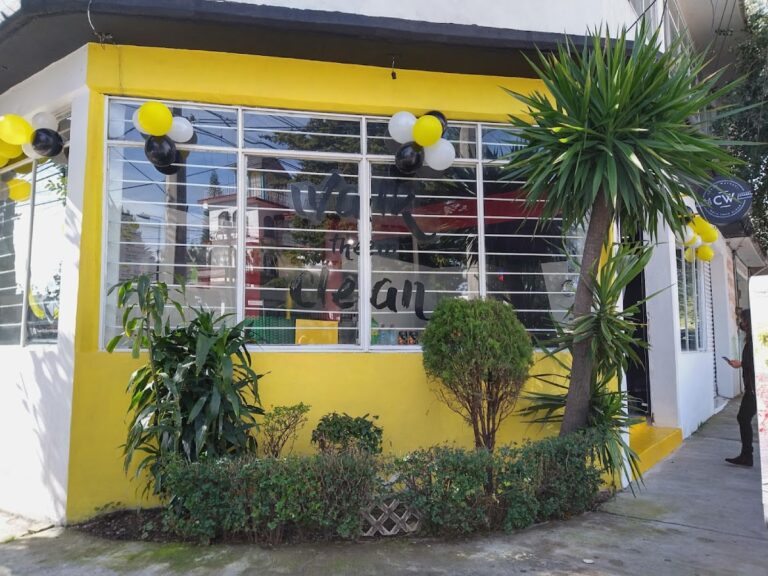 14118 clean walkers naucalpan 768x576