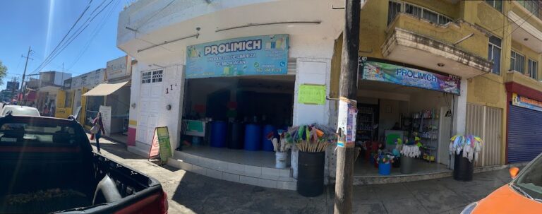 14145 prolimich productos de limpieza de michoacana 768x303