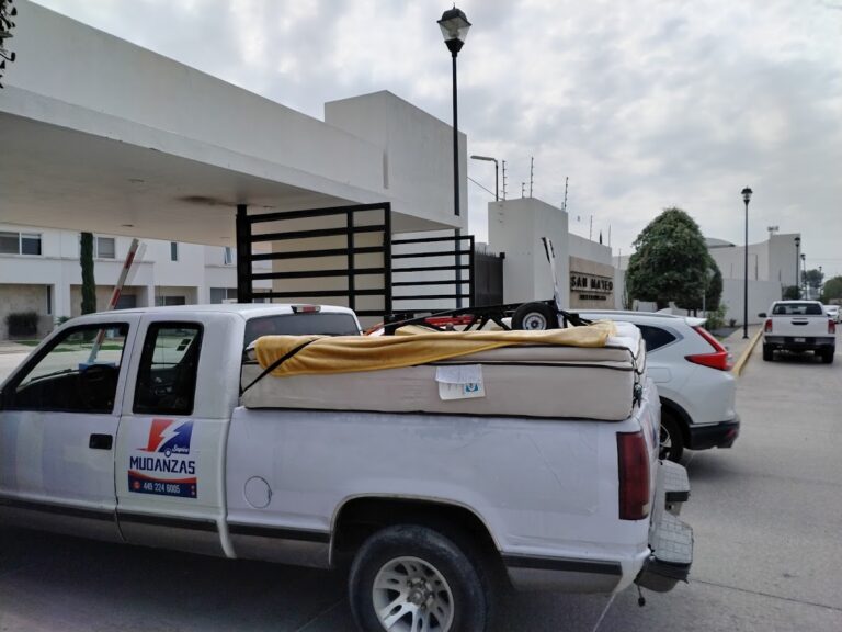 14420 mudanzas y fletes sapien en aguascalientes 768x576