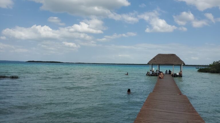 14466 fletes y mudanzas velasco 768x432