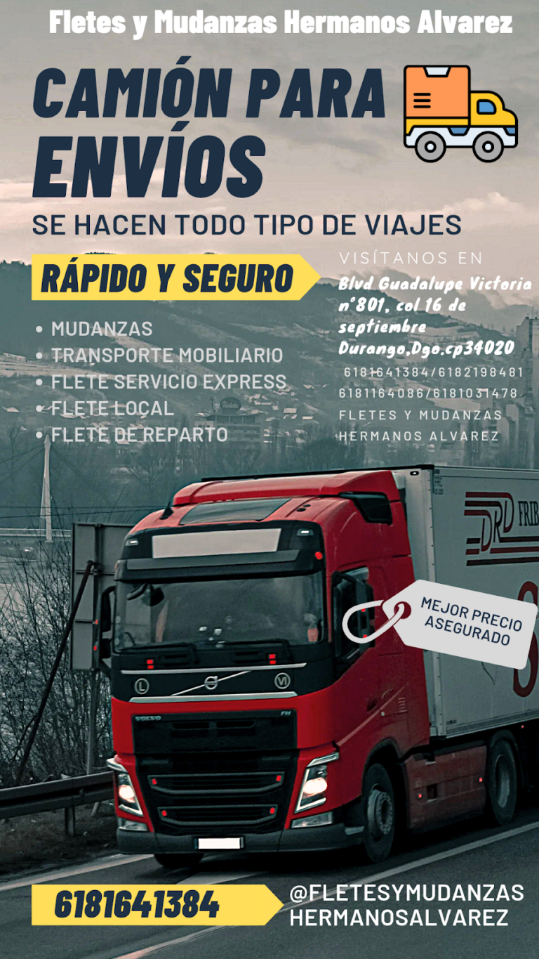 14529 fletes y mudanzas hermanos alvarez 768x1365