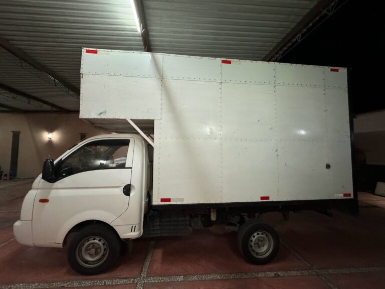 14565 servicio publico de carga 768x576