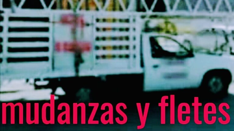 14577 fletes y mudanzas guadalajara 768x431