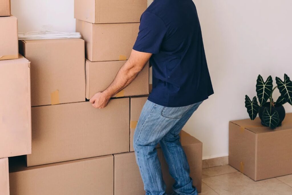 14694 ecomudanzas puebla 1024x683