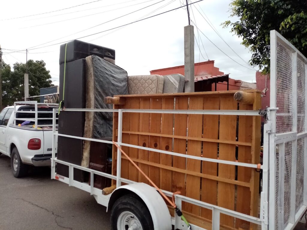 14771 fletes y mudanzas amavizca 1024x768