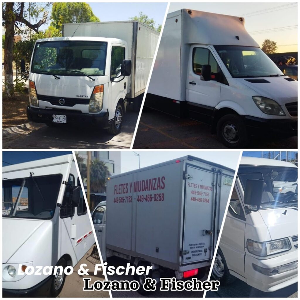 14840 mudanzas economicas aguascalientes y zacatecas lf 1024x1024