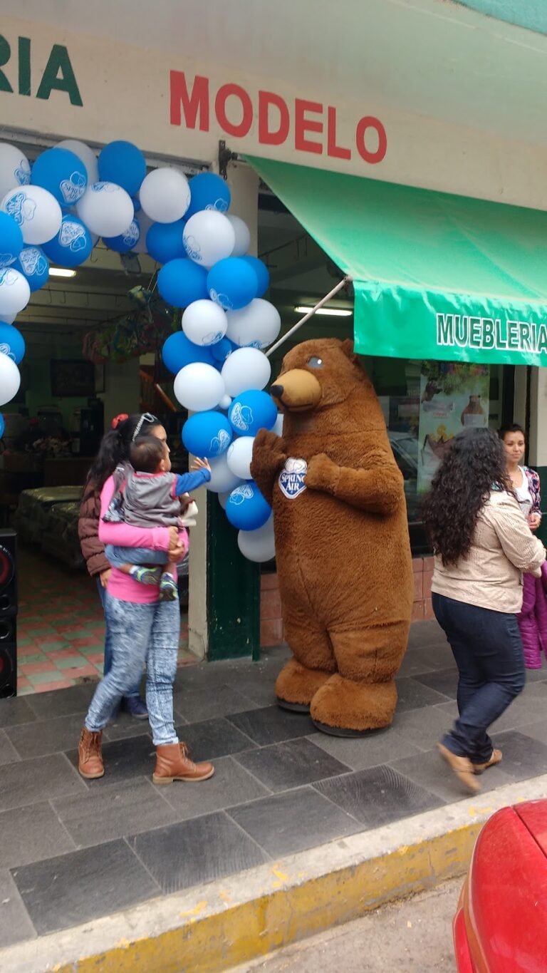 15309 muebleria modelo tulancingo centro 768x1365