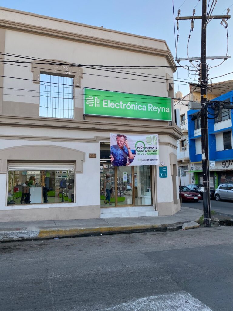 15858 er electronica reyna 768x1024