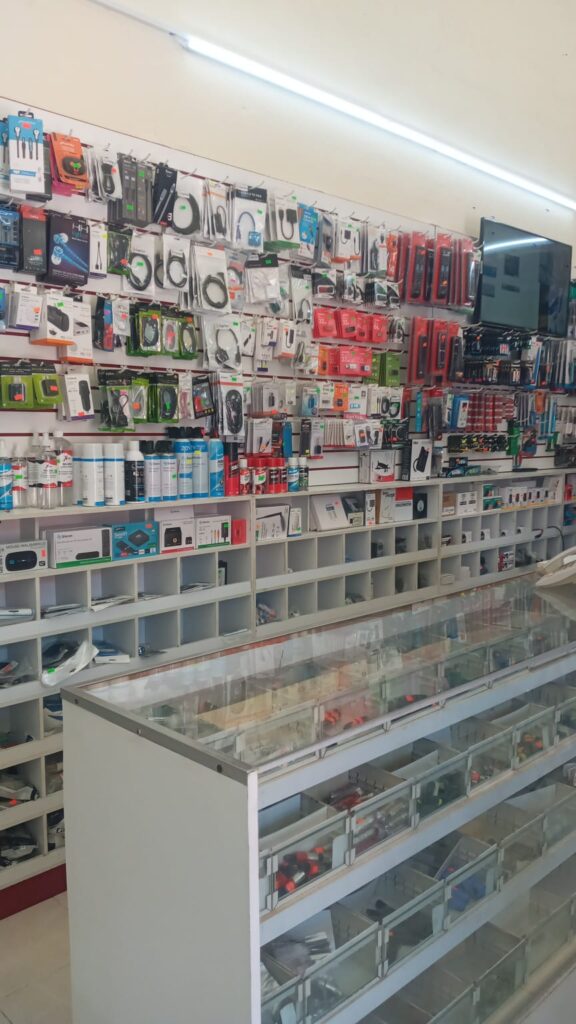 15945 electronica gonzalez 576x1024