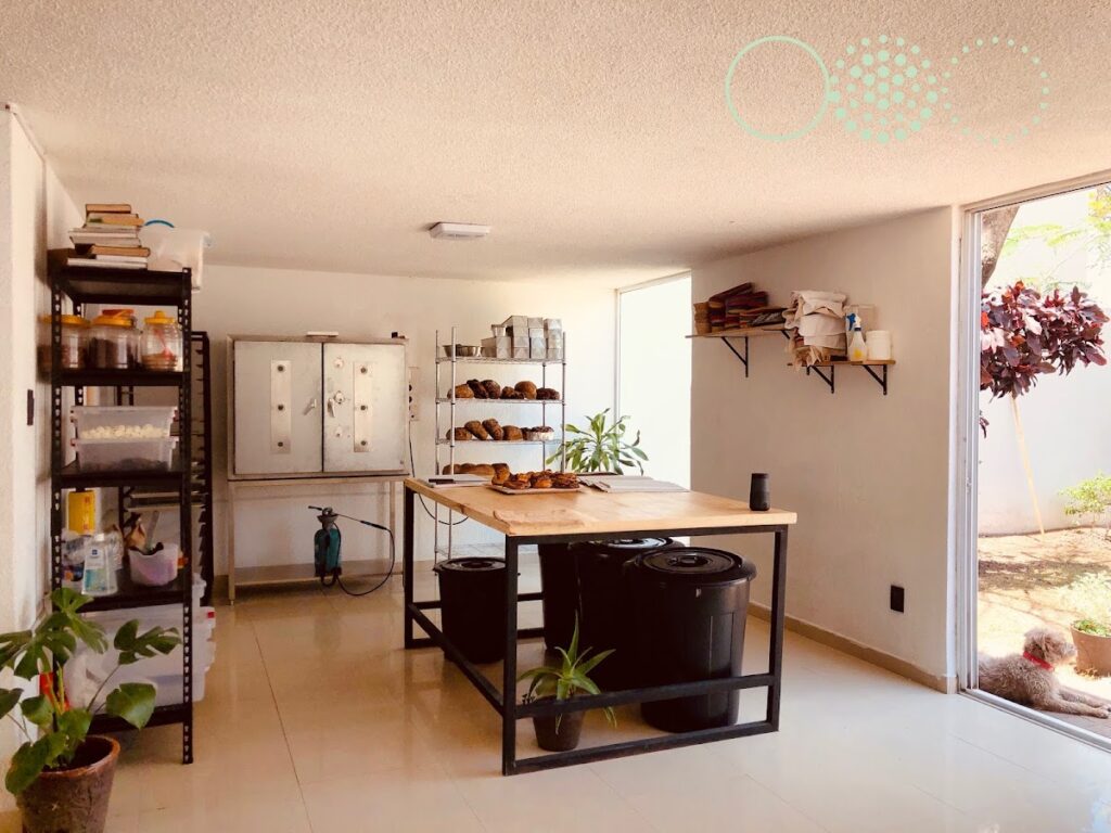 16035 martesana pan de masa madre 1024x768