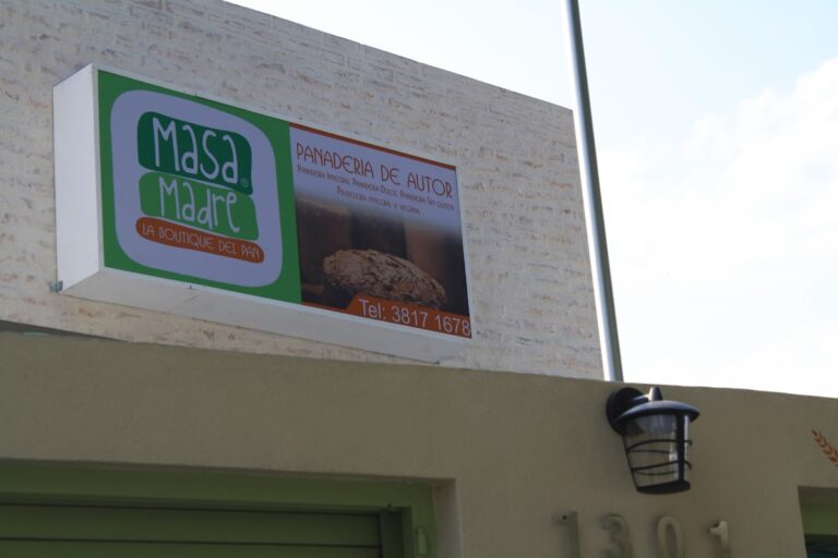 16072 masa madre la boutique del trigo 768x512