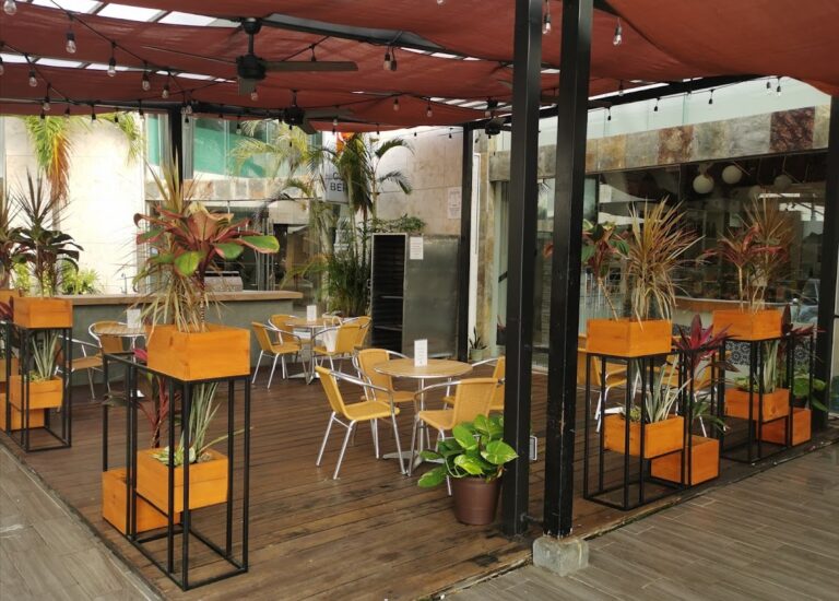 16178 la anoranza 768x550