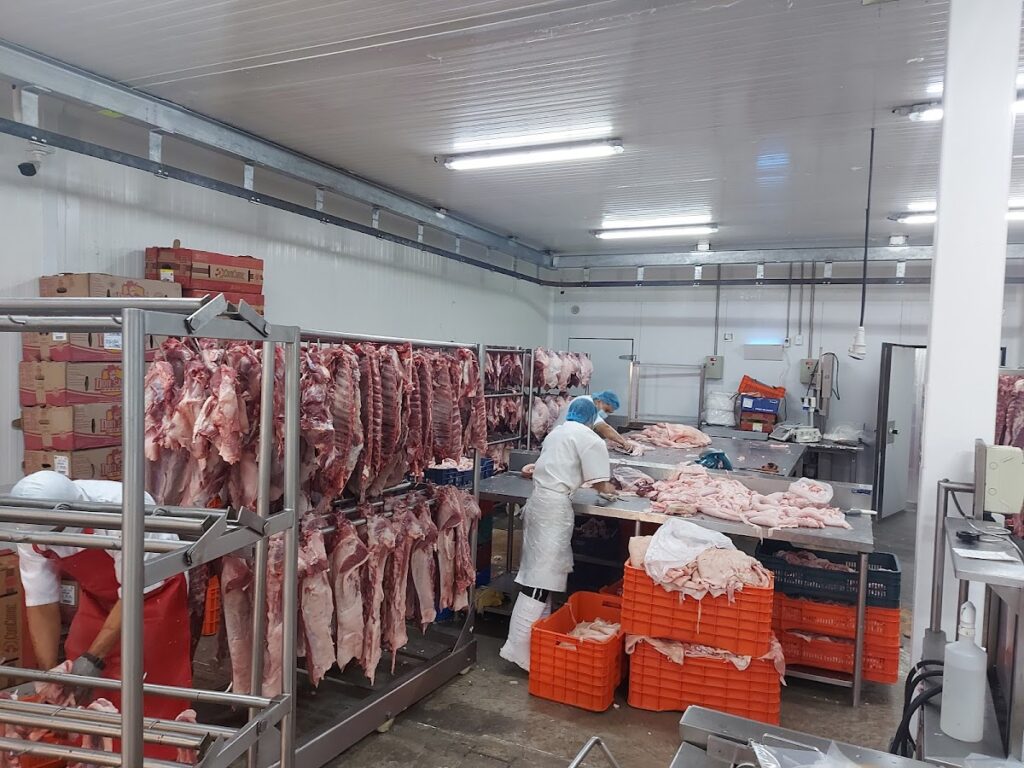 16428 carnico 1024x768