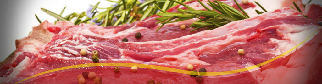 16605 carnicerias el jarocho 1024x270