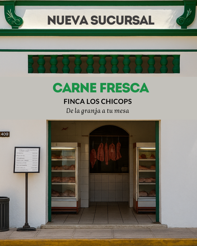 16622 carnes y cortes finos valladolid 768x960