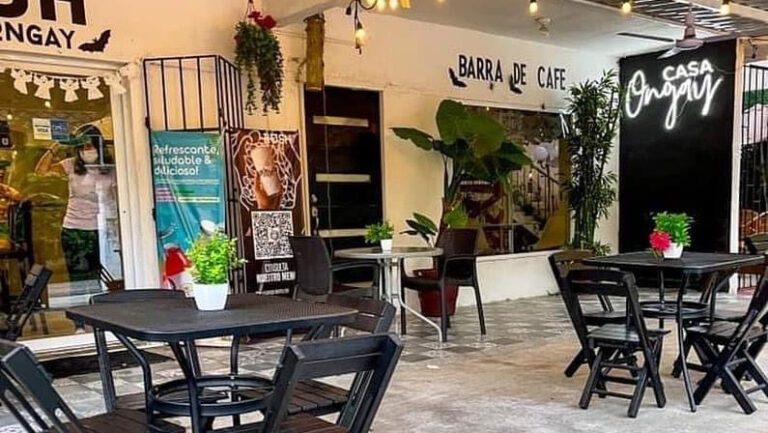 16688 casa ongay 768x433