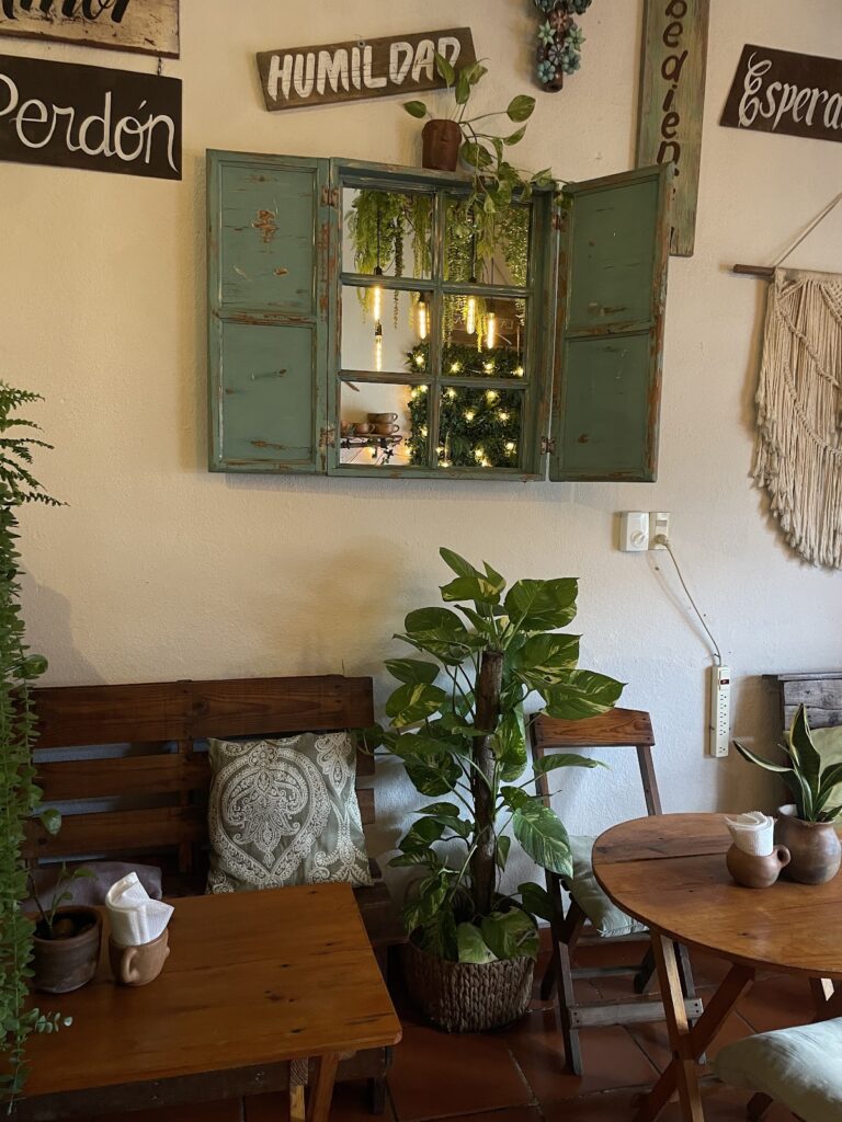 16849 la bendita 768x1024