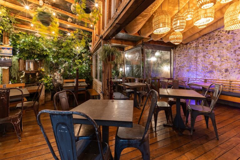 16955 flor catorce centro 768x512