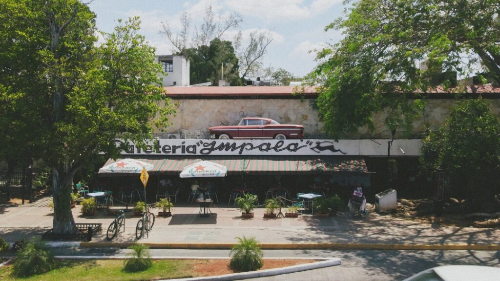 16971 cafeteria merida impala ☕️ the first coffee shop since 1958 on paseo de montejo centro 1024x576