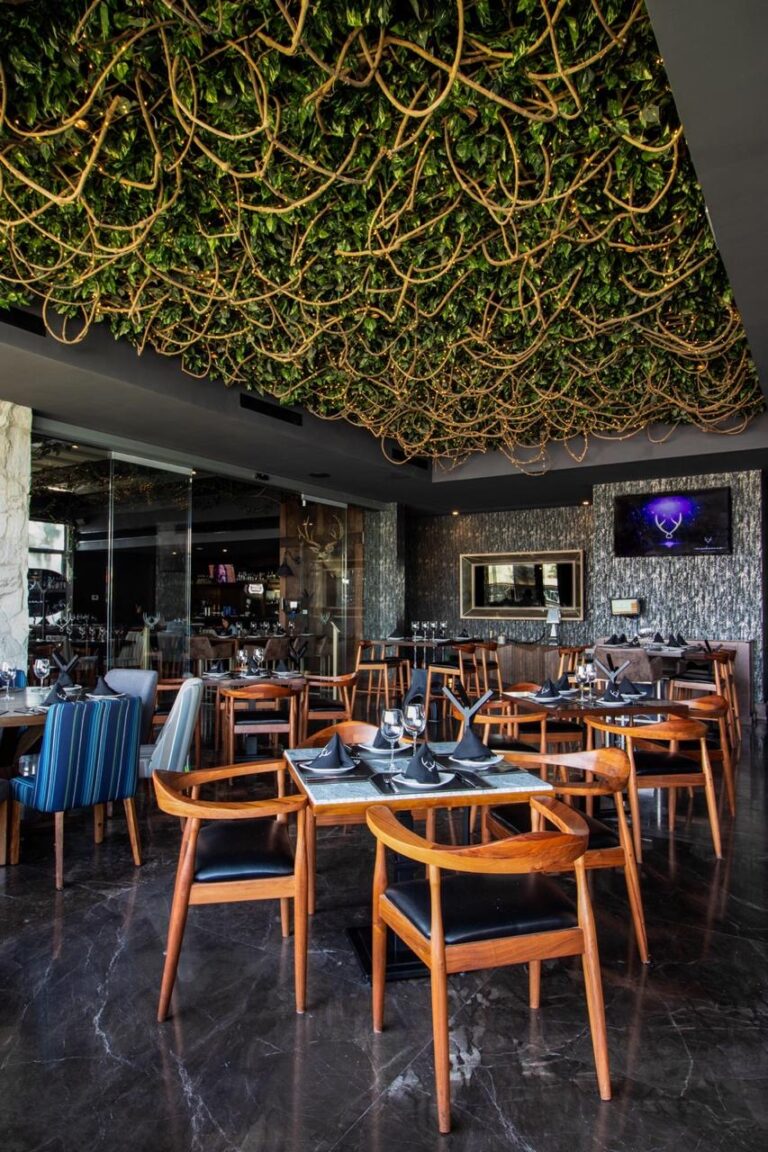 17374 mochomos aguascalientes 768x1152