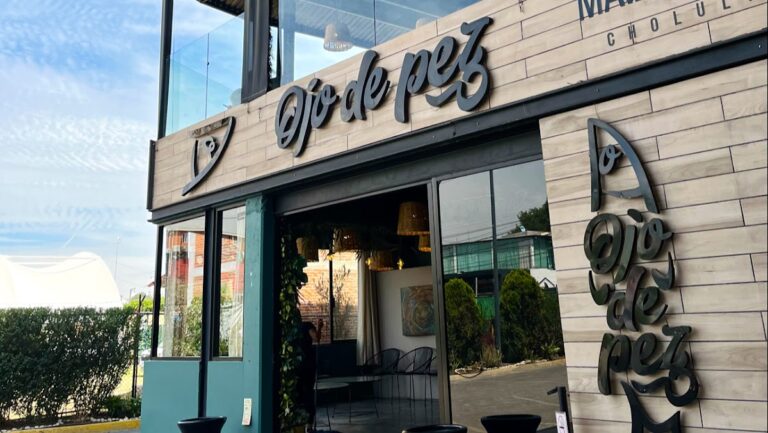 17553 ojo de pez 768x433