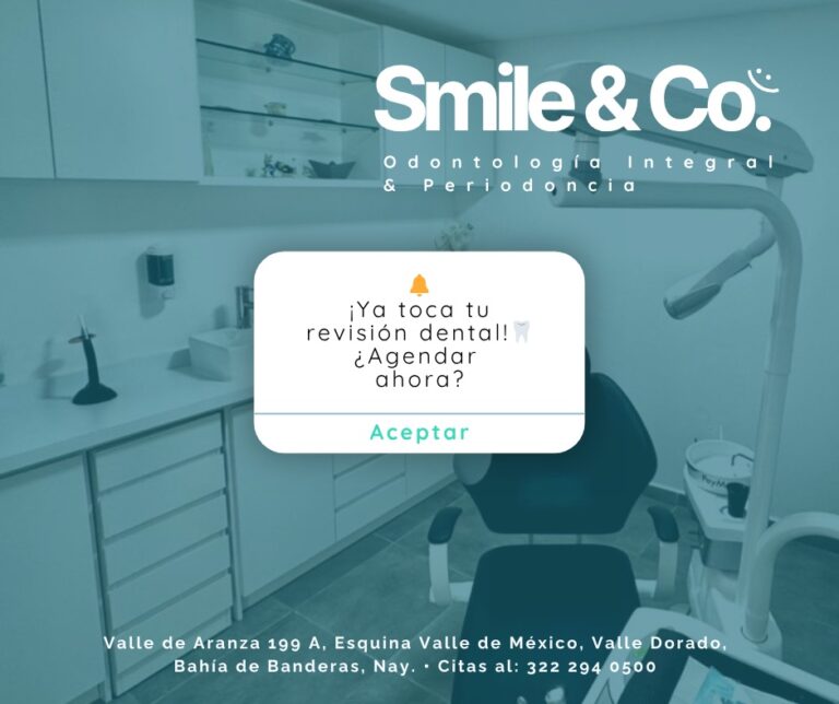 19551 smile co. 8211 odontologia integral periodoncia 768x644