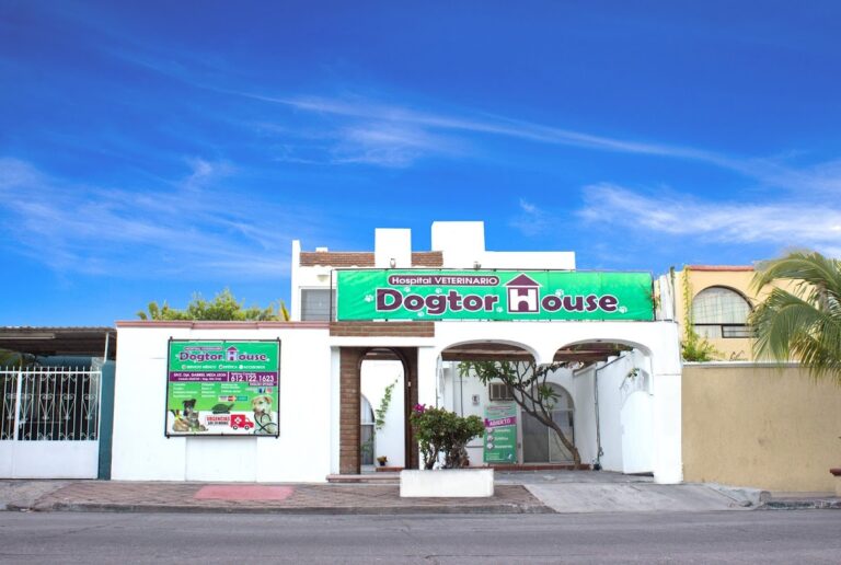 19781 hospital veterinario dogtor house 768x516