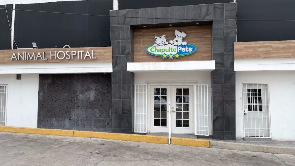 19787 hospital veterinario chapultepets tijuana 1024x576