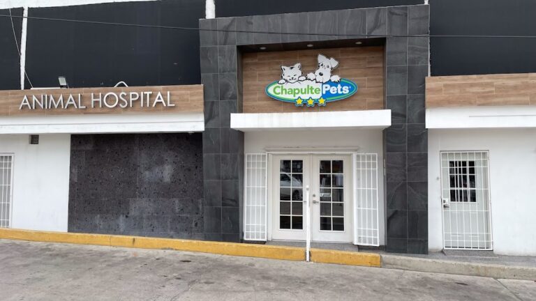 19787 hospital veterinario chapultepets tijuana 768x432