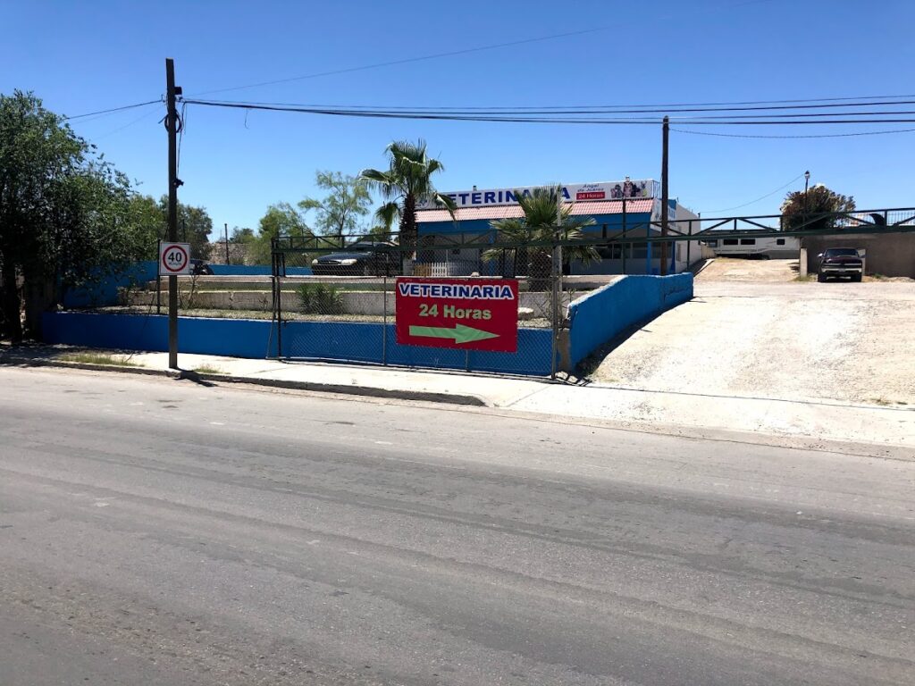19810 veterinaria angel de juarez 24 horas 1024x768