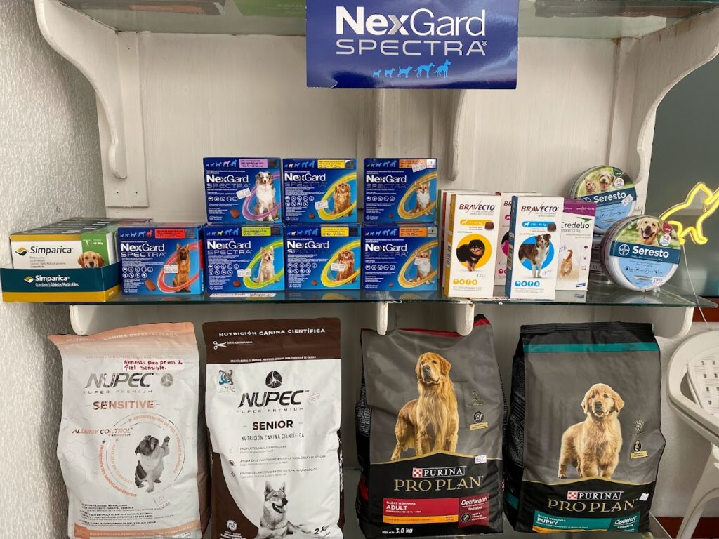 19823 jemvet 1024x768