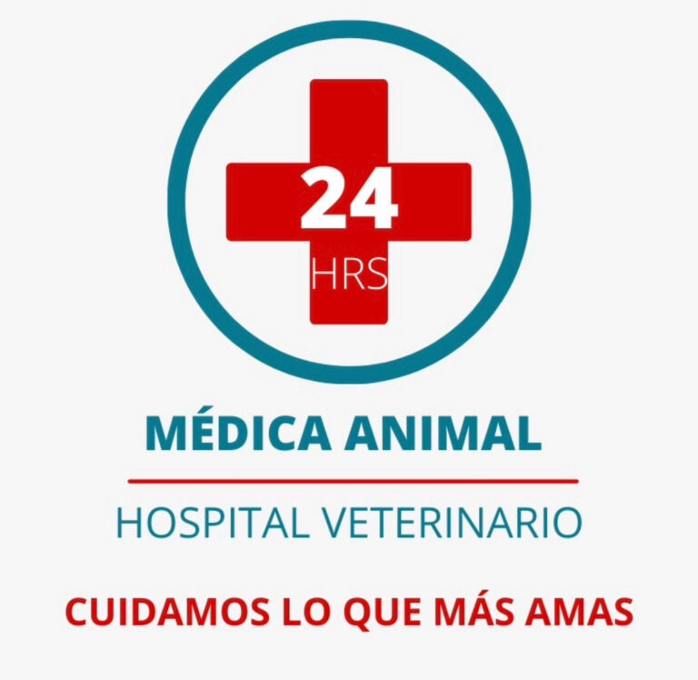 19827 hospital veterinario medica animal 24 hrs 768x748